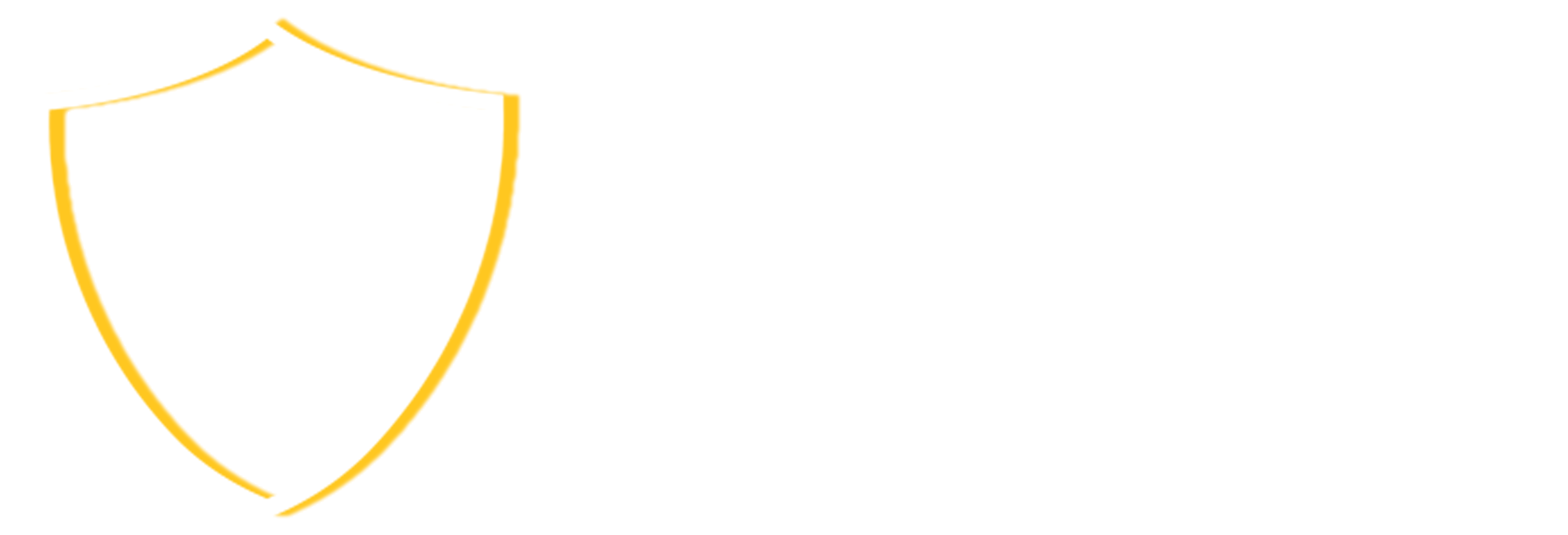 Security Institute of New Zealand